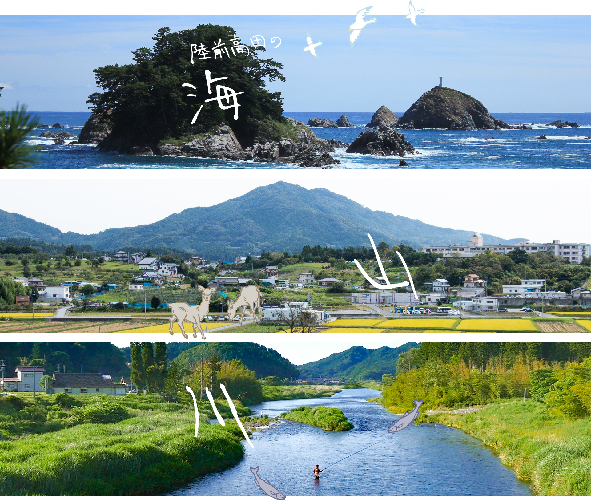 陸前高田の海・山・川